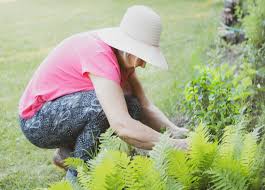 Platform Aplikasi Terintegrasi untuk Mendukung Operasional Perkebunan Modern